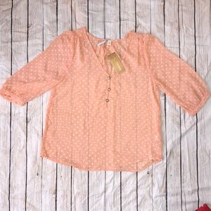 Francesca’s Sheer Blouse